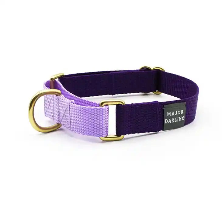 purple martingale dog collar with brass hardware