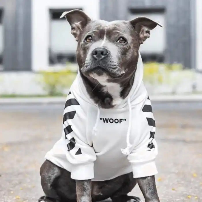 woof white hoodie for dogs